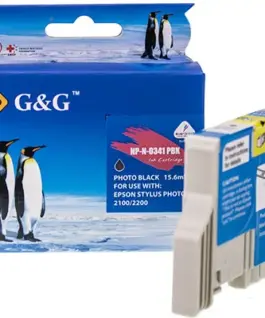 ГЛАВА ЗА EPSON STYLUS PHOTO 2100 - Black - OUTLET - T034140 - G&G