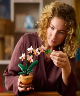 LEGO Botanicals - Mini-Orchidee