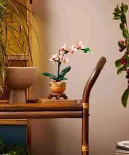 LEGO Botanicals - Mini-Orchidee