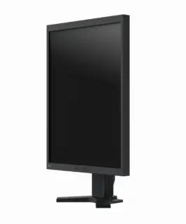 Alternative view of Медицински монитор EIZO RadiForce S2134-BK Цветен, Черен