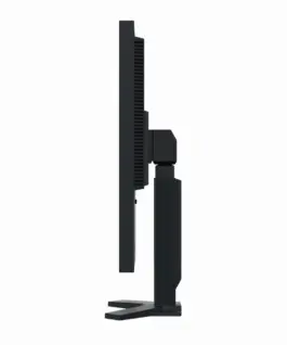 Медицински монитор EIZO RadiForce S2134-BK Цветен