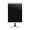 Медицински монитор EIZO RadiForce S2134-GR Цветен Сив