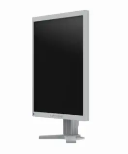 Alternative view of Медицински монитор EIZO RadiForce S2134-GR Цветен, Сив