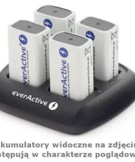 everActive BATTERY зарядно NC-109