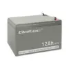 Qoltec AGM battery 12V 12Ah