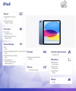 Apple IPAD WIFI 256GB BLU