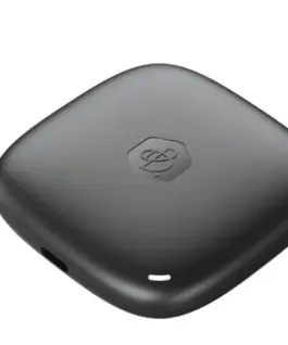 Alternative view of Synology BeeDrive 1T SSD USB-C BDS70-1T