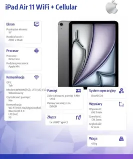 Apple iPad Air 11 inches WiFi + Cellular 256GB Space сив