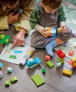 LEGO Blocks DUPLO 10479 Colourful Creative Box