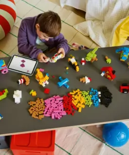 LEGO Blocks Classic 11045 Creative Colourful Bricks