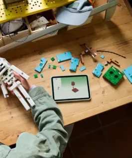 LEGO Blocks Minecraft 21594 The Skeleton