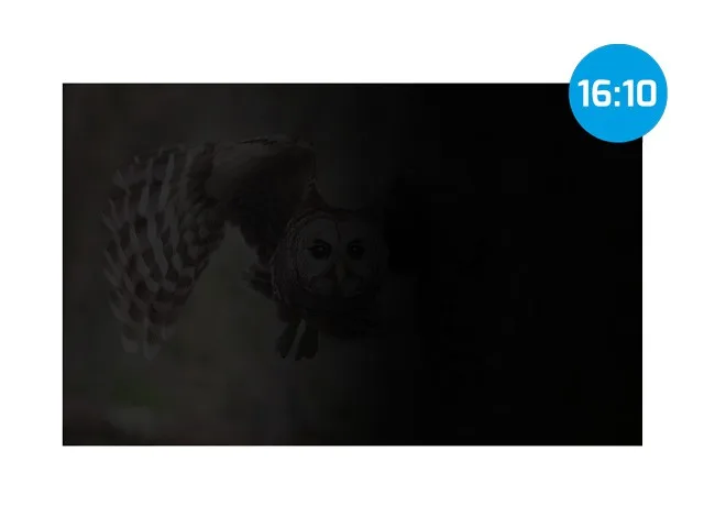 Natec Privacy filter Owl 14 16:10 - Image 2