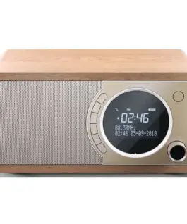 Sharp SHARP Radio DAB+ BT DR-450(BR)
