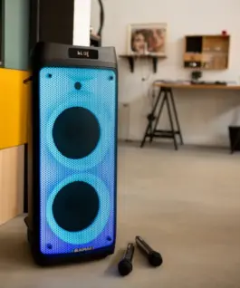 Alternative view от Blaupunkt Speaker PartyBox with Bluetooth and karaoke PB08DB PLL FM USB SD