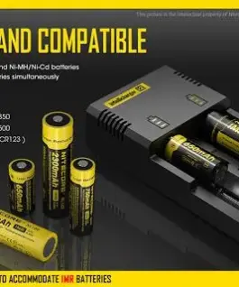 Зарядно процесорно устройство за акумулатор 6V/12V everActive CBC-1 v2 до 1А за автомобили ? - Image 1478