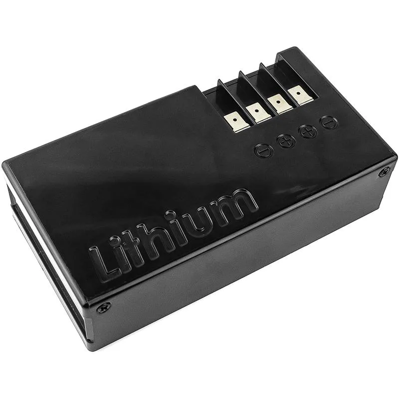 Зарядно процесорно устройство за акумулатор 6V/12V everActive CBC-1 v2 до 1А за автомобили ? - Image 696