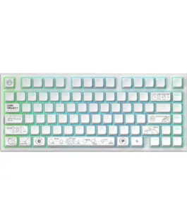 Геймърскa безжична клавиатура Dark Project ALU81A Terra Nova R2 White RGB