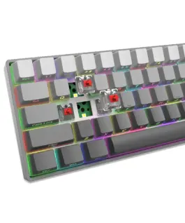 White Shark геймърска механична клавиатура Gaming Mechanical Keyboard NUNCHAKU - Red Switches (English US), Grey - Image 5