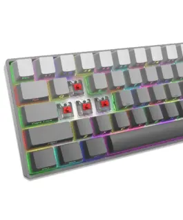 White Shark геймърска механична клавиатура Gaming Mechanical Keyboard NUNCHAKU - Red Switches (English US), Grey - Image 6
